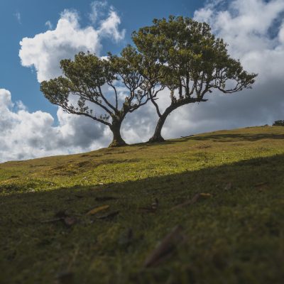 Madeira-62